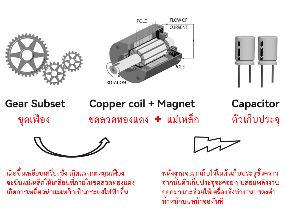 เทคโนโลยีเครื่องชั่งน้ำหนักดิจิตอล ไร้แบตเตอรี่ 